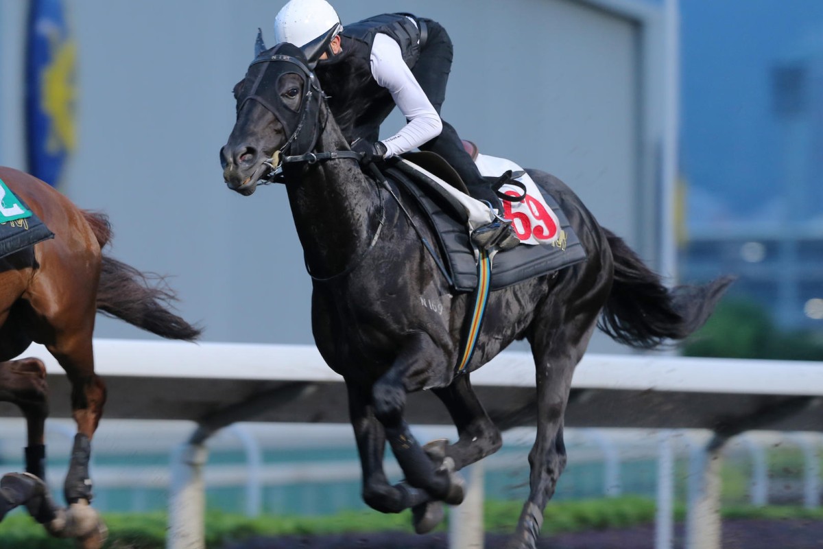 Dominant, pictured at Sha Tin before his trip, finished fifth in Australia on Saturday. Photos: Kenneth Chan