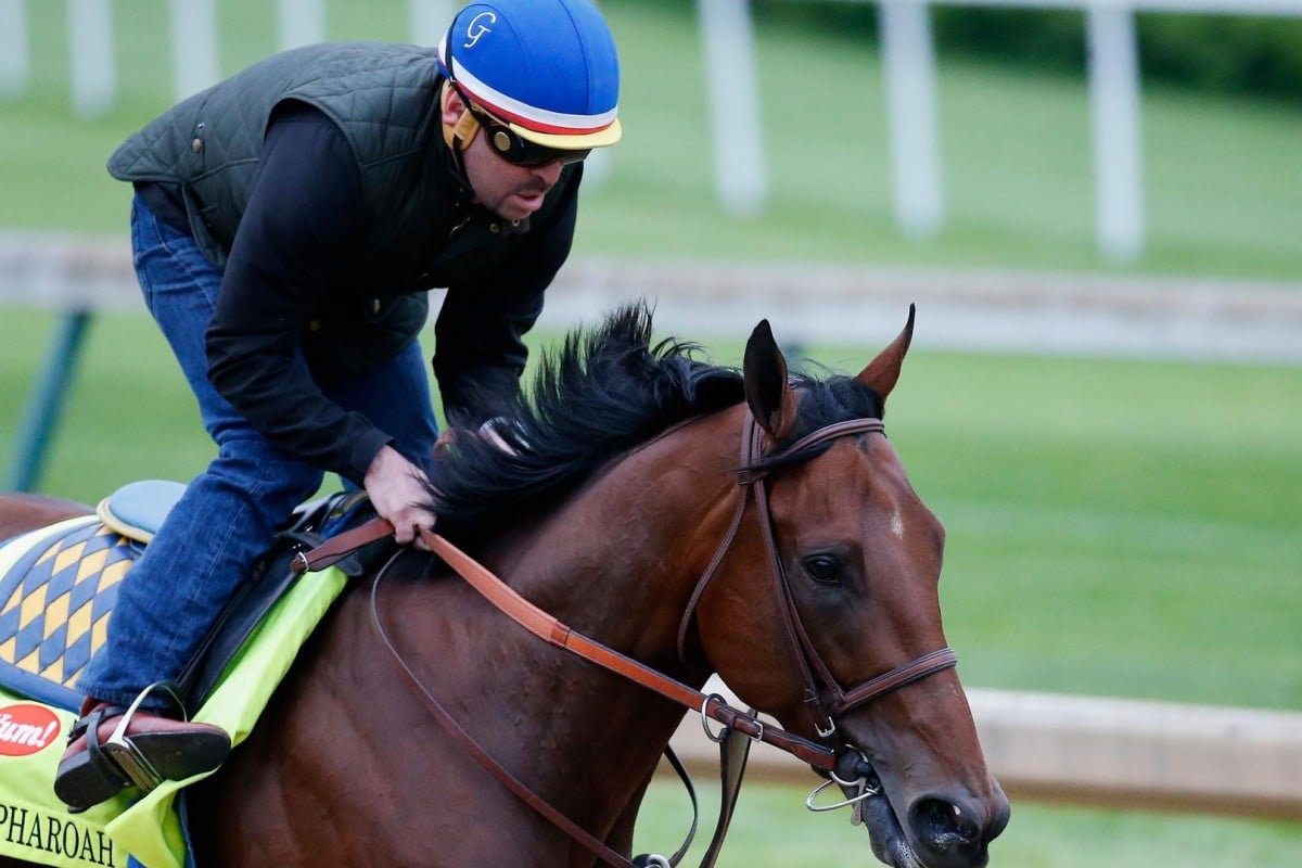 American Pharoah gets through some trackwork ahead of the Kentucky Derby at Churchill Downs. AFP