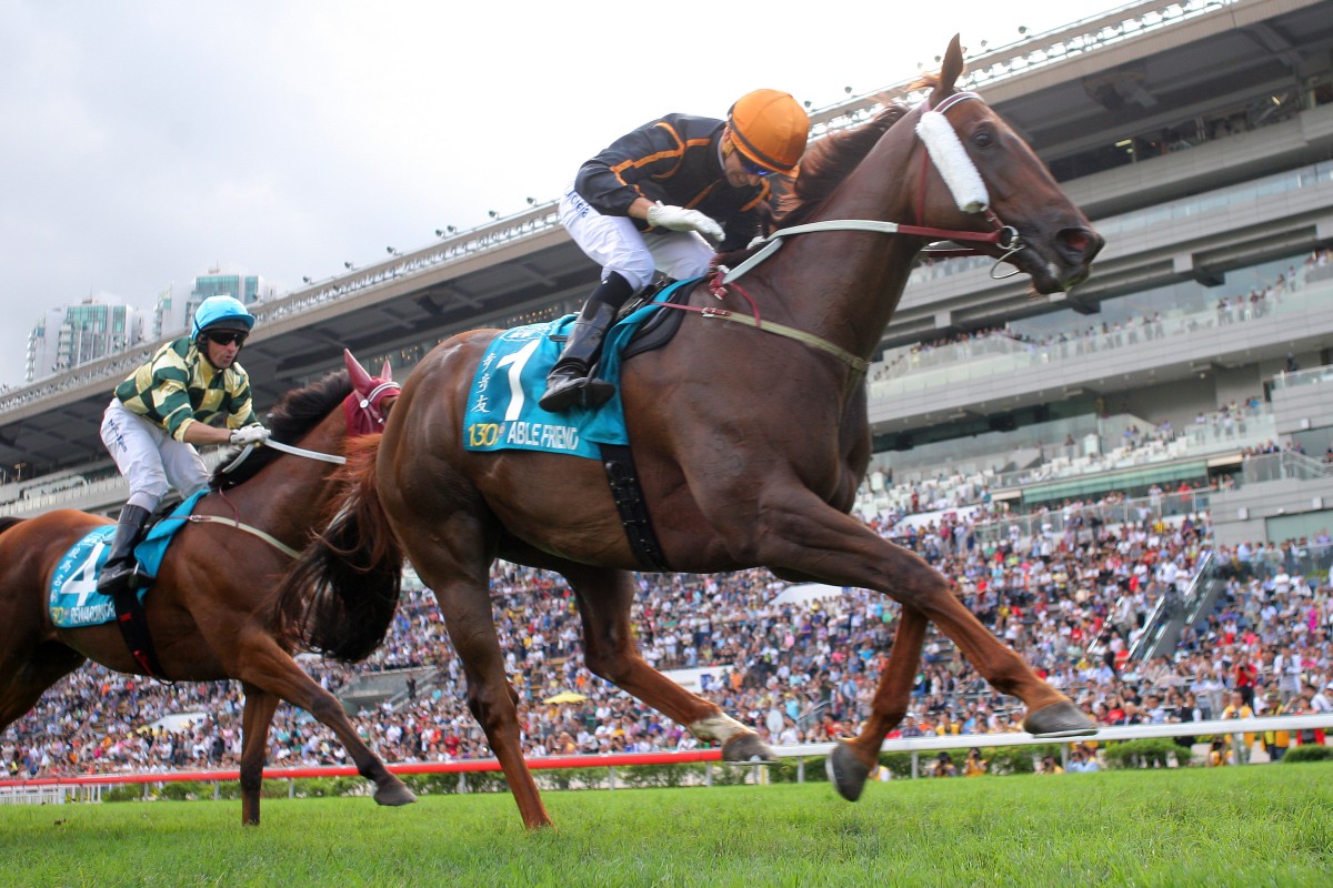 Able Friend is bound for England, with the champion miler set to tackle the Queen Anne Stakes at Royal Ascot next month. Photo: Kenneth Chan