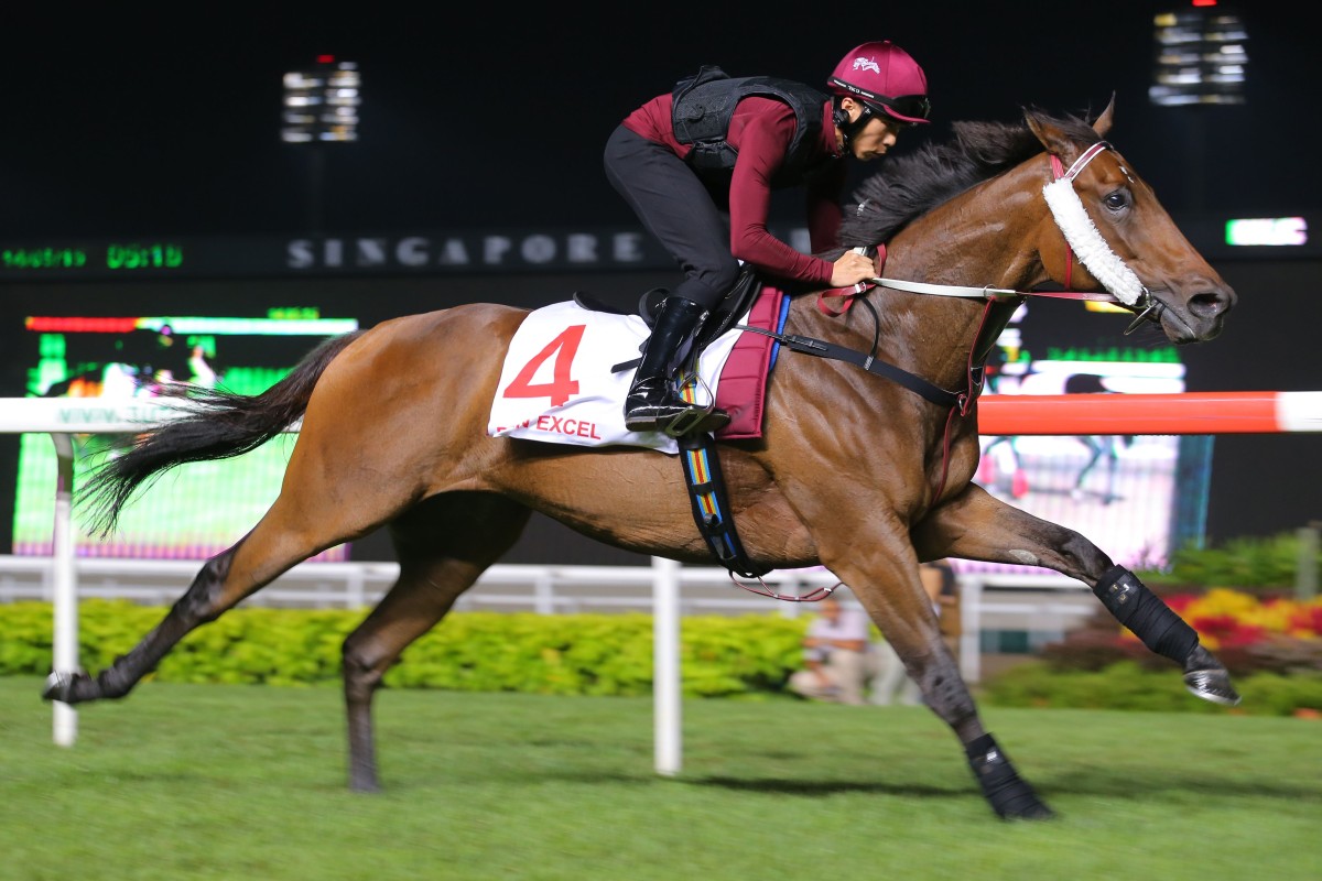 Dan Excel galloping at Kranji Racecourse on Thursday May 14. The seven-year-old gelding covered the final 600m in a brisk 35.9 seconds. Photo: Kenneth Chan