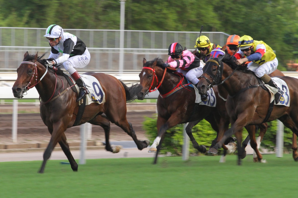 Too Fast races away to win convincingly, giving John Moore his 55th win of the season. Photo: Kenneth Chan