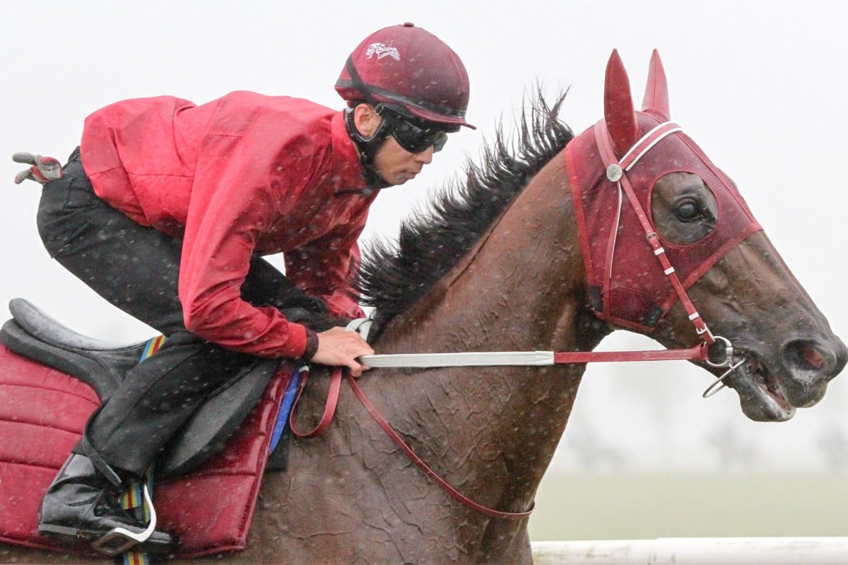 Trackwork rider Thomas Yeung takes Able Friend for a canter over two miles in the wet at Newmarket on Saturday. Photos: Liesl King