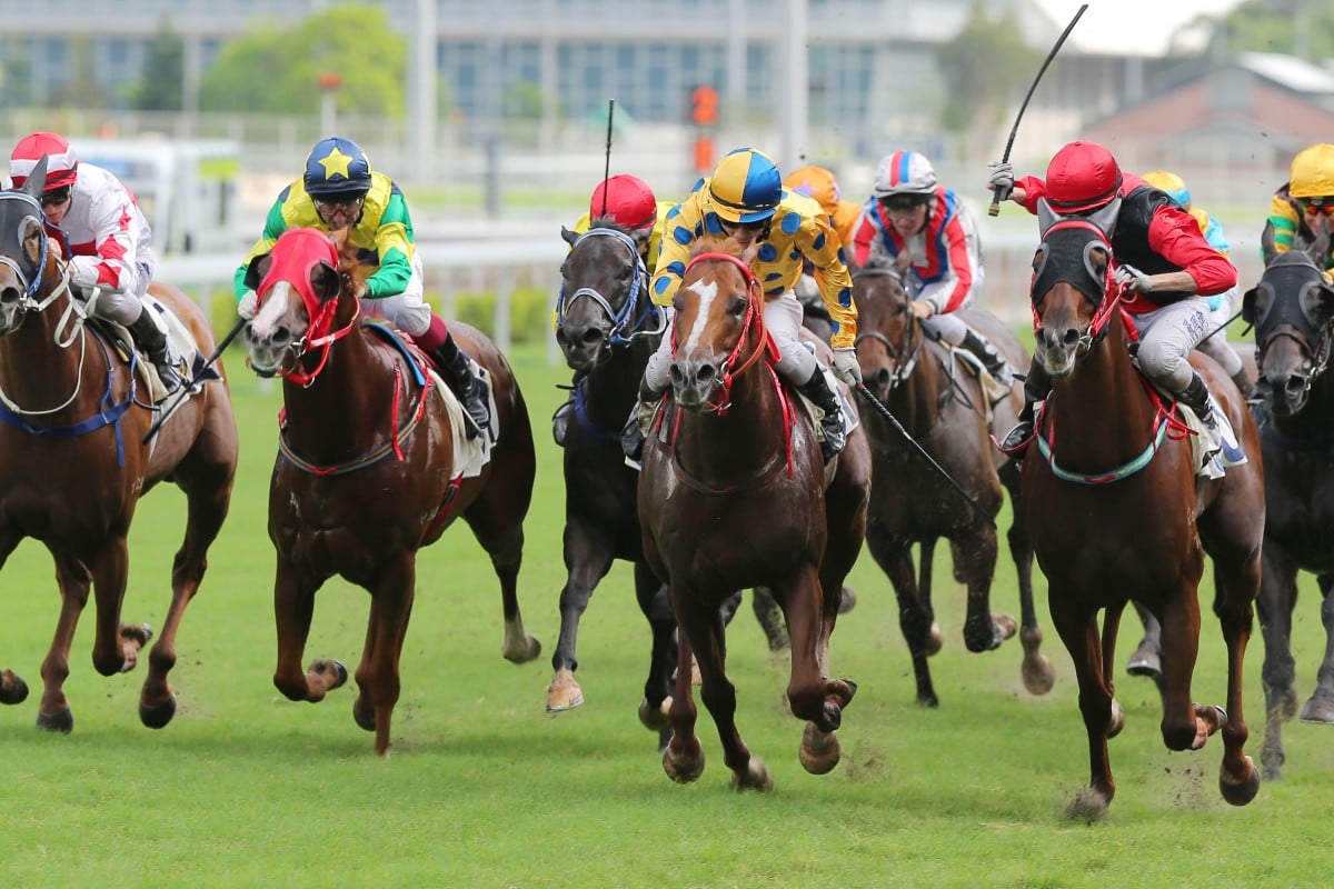 Accepted (far left) has caught the eye in two runs in Hong Kong and looks the best banker option. Photo: Kenneth Chan