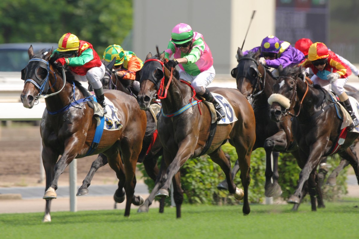 Nash Rawiller drives home High Warrior to win at just his fifth start. Photo: Kenneth Chan