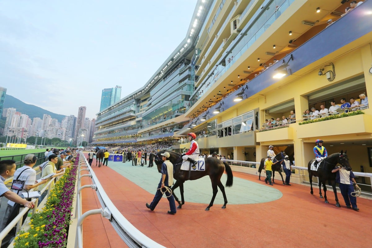 The sun is setting on the 2014-15 season, with just one meeting to go at Sha Tin after Wednesday night's final meeting at Happy Valley. Photo: Kenneth Chan
