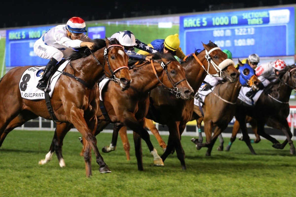 Amber Sky, ridden by Joao Moreira, wins the 2014 Al Quoz Sprint at Meydan in Dubai. Photos: Kenneth Chan