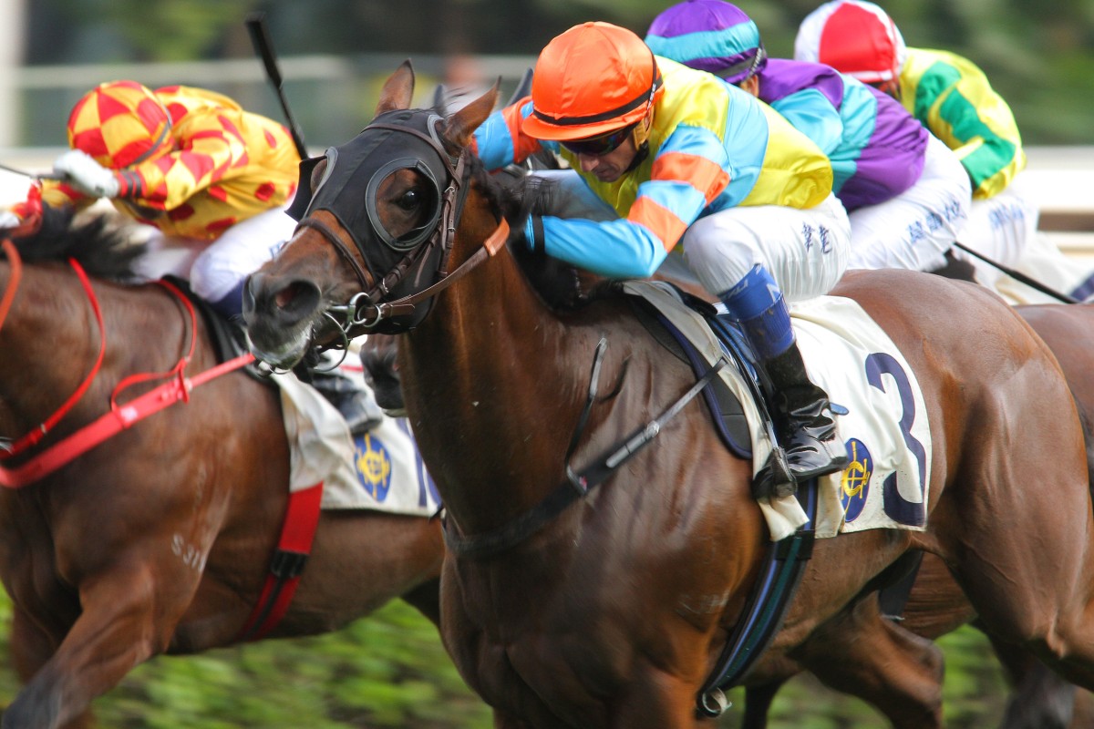 Travel Renyi, ridden by Douglas Whyte, just gets home from Secret Command.