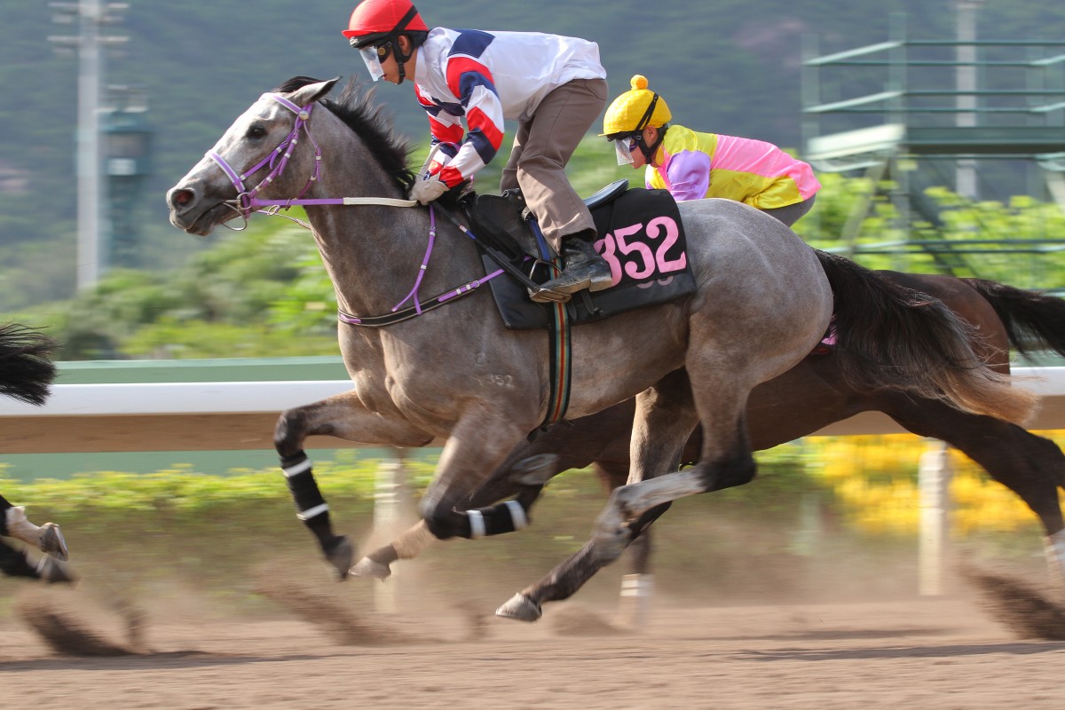Roundabout looks set to break through in no time at all after an impressive third at his Hong Kong debut. Photo: Kenneth Chan