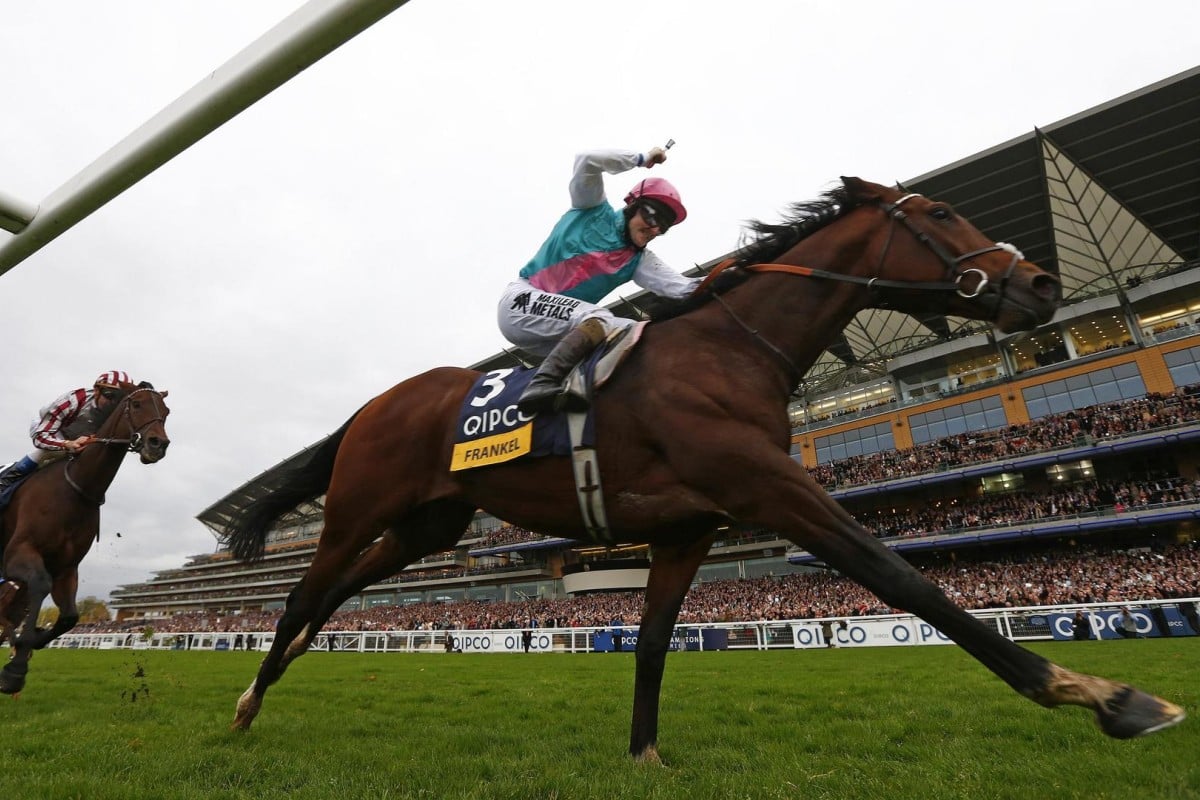 There are valid reasons why the likes of the exalted Frankel are not often seen in Hong Kong's international races. Photo: Reuters