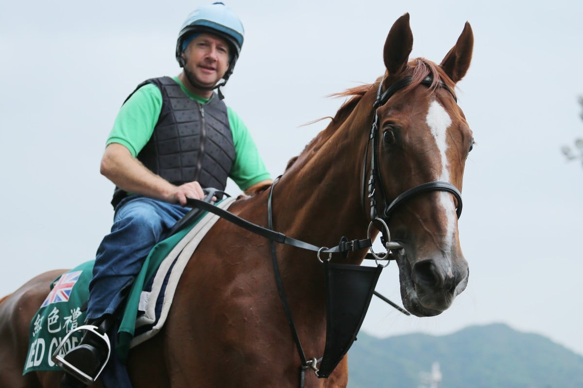 This five-time visitor to Hong Kong ranks on top in any list of globetrotting racehorses. Who is it? Photo: Kenneth Chan