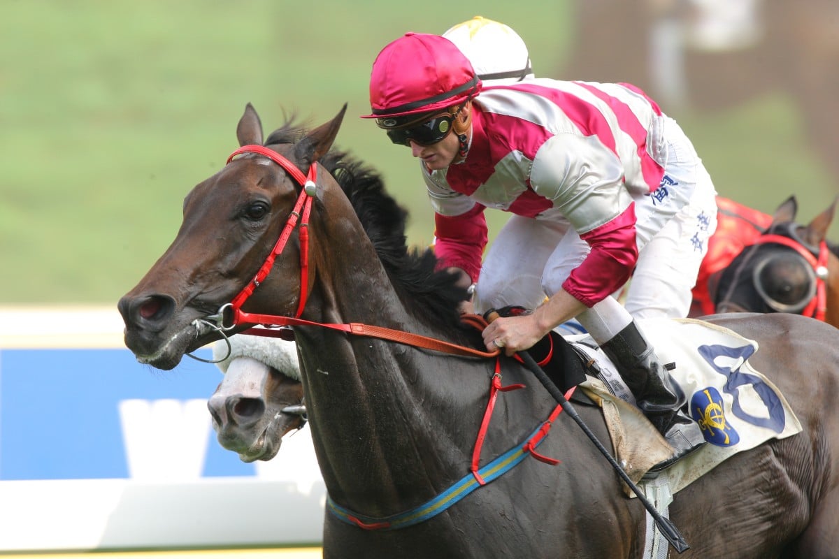 Ensuring has the potential to pick up a Group Three handicap this season. Photo: Kenneth Chan