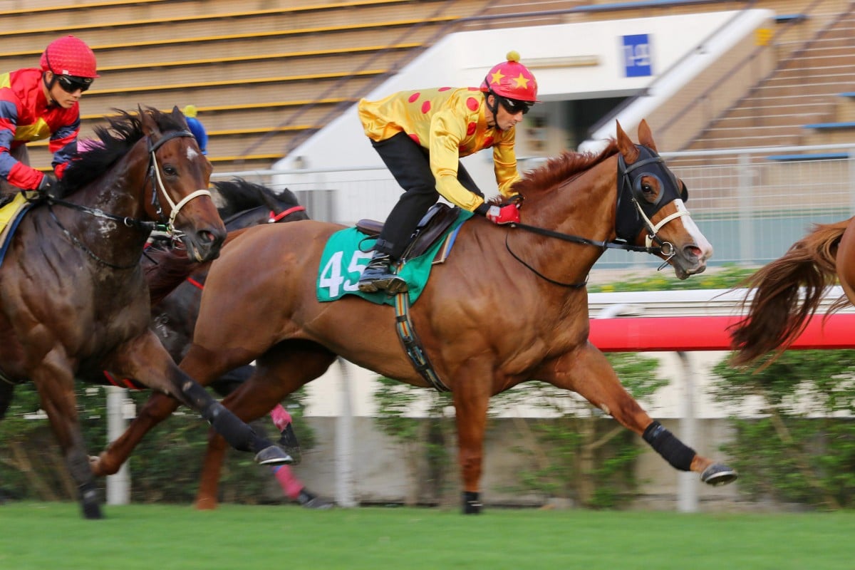 Douglas Whyte rides Gold-Fun at Sha Tin on Friday morning, finishing fourth in a trial. Photos: Kenneth Chan