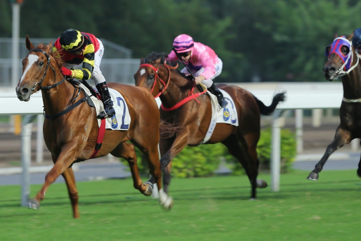 Lucky Bubbles looks much better than a Class Two galloper.