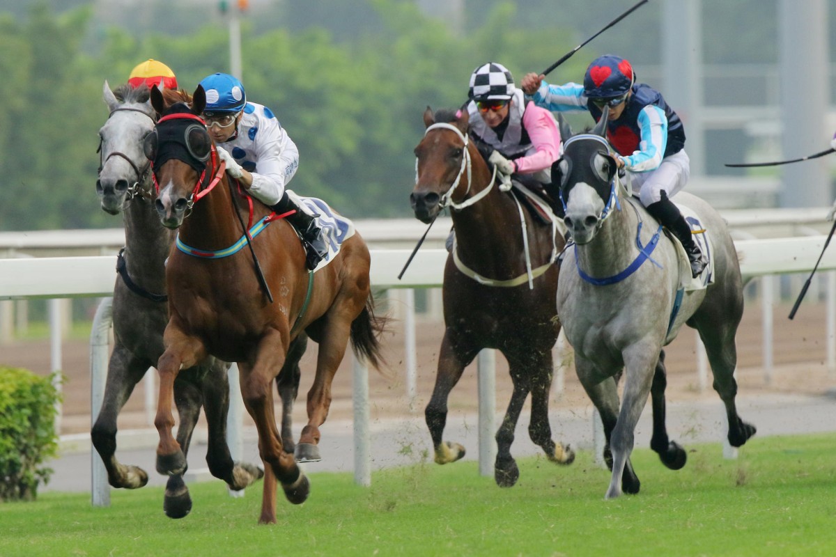 Contentment (Joao Moreira) races away from Giant Treasure (Douglas Whyte) to win the Celebration Cup three weeks ago. They both loom as chances today. Photos: Kenneth Chan