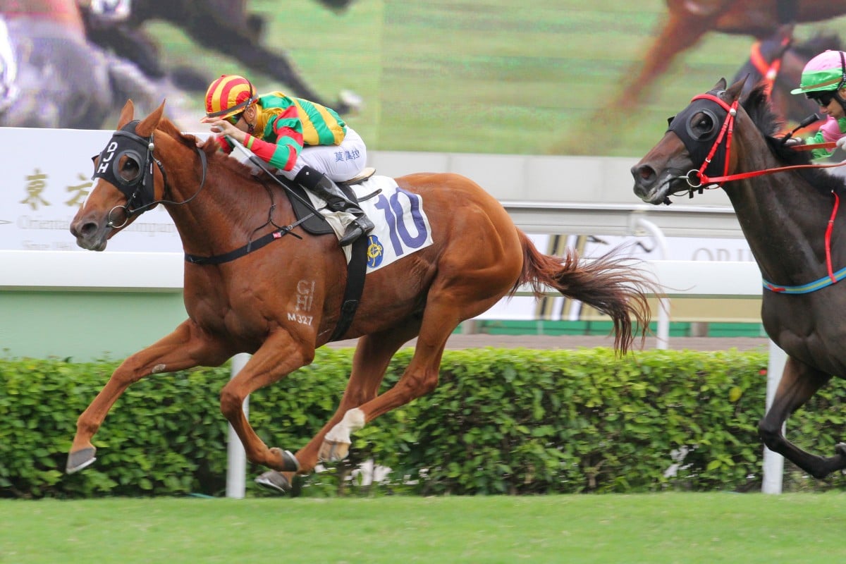Bamboo Dance (Joao Moreira) holds off High Warrior (Brett Prebble) to make it five on end in a remarkable story for David Hall. Photo: Kenneth Chan