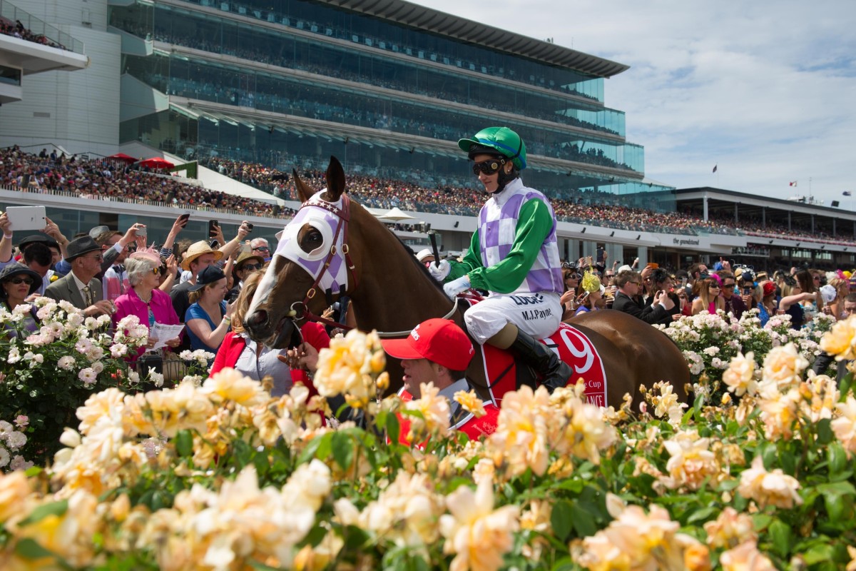 The win by Prince of Penzance, ridden by Michelle Payne, was just what the Melbourne Cup needed this time. Photo: Xinhua