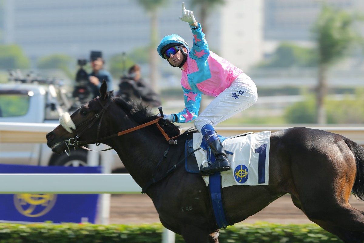 Got Fly hasn't won since international day last year, but can put himself in line for a shot at one of the features with victory in the Sa Sa Ladies' Purse on Sunday. Photo: Kenneth Chan