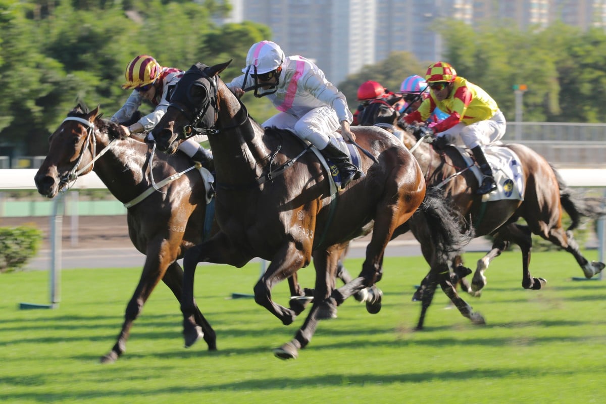 Top Act (Richard Fourie) just fights off Romantic Touch (Vincent Ho) to take out the Ladies' Purse, a race that has a history stretching back to 1846. Photos: Kenneth Chan