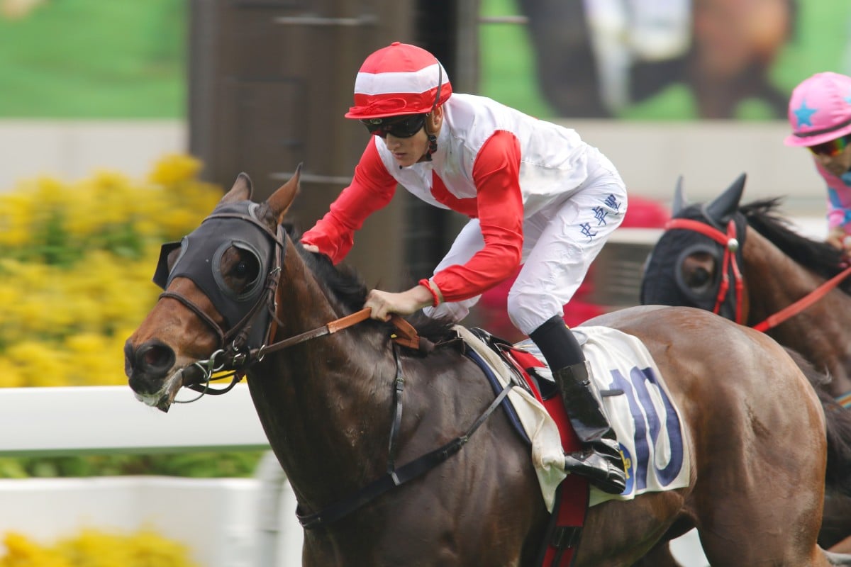 Chad Schofield teamed up with Richard Gibson to win on Gold Dragon, but incurred one of two suspensions during the race.