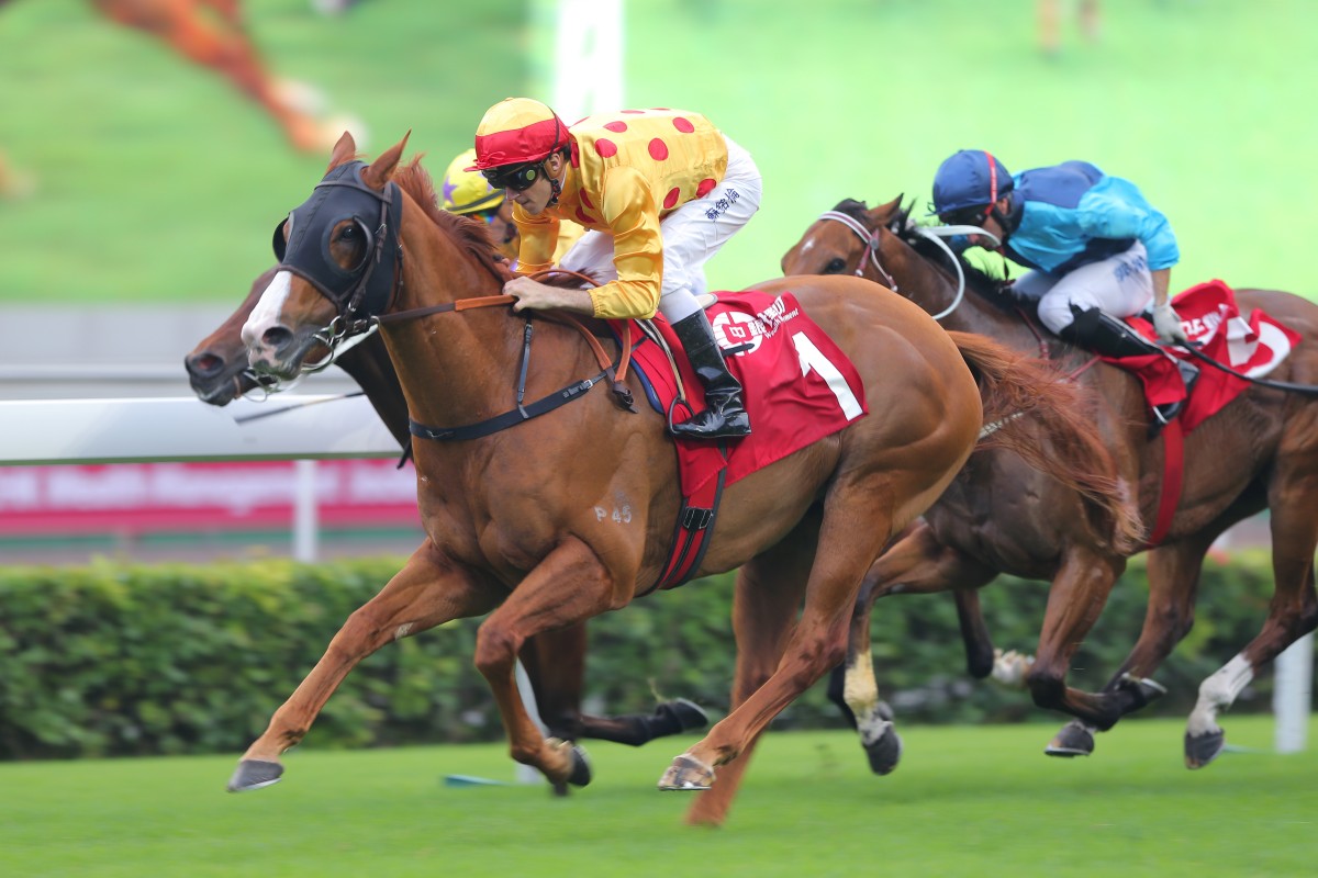 Jockey Club Sprint winner Gold-Fun looks a leading chance, although he faces a strong group of internationals. Photo: Kenneth Chan
