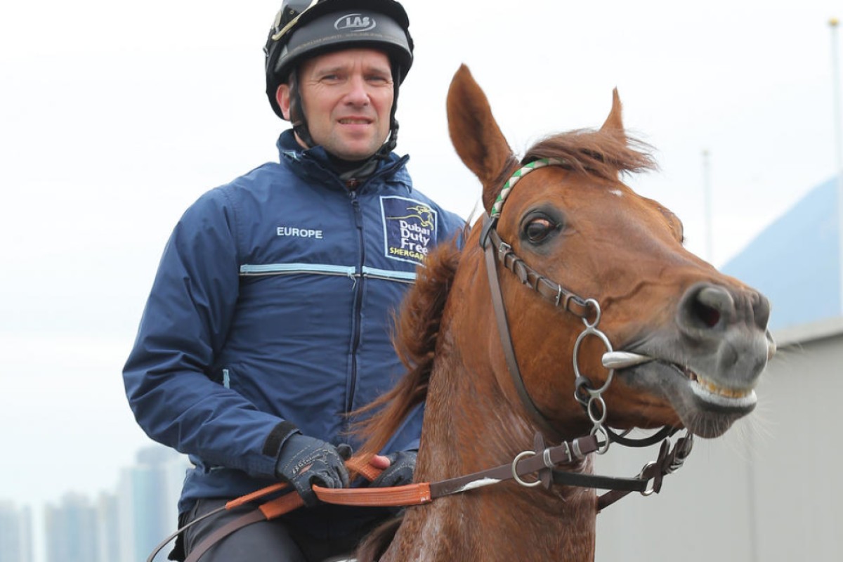 Andreas Suborics takes Red Dubawi on to the track. Photos: Kenneth Chan 