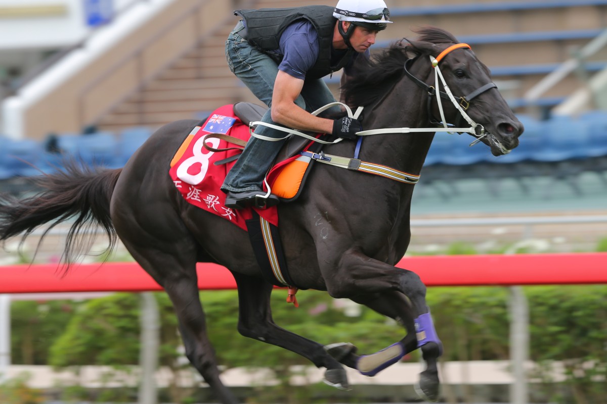Hong Kong Cup contender Lucia Valentina has a turf gallop at Sha Tin. Photos: Kenneth Chan 
