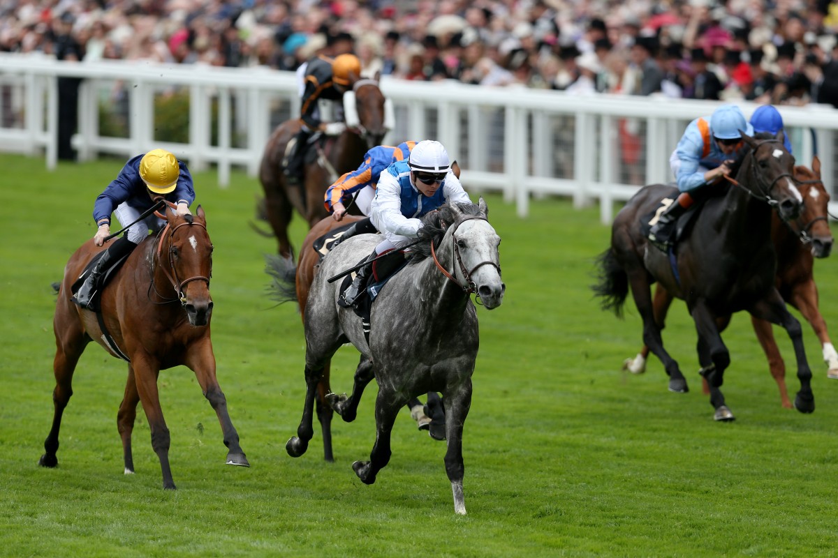 Solow would have faced Able Friend again - as well as Hong Kong Mile winner Maurice - in a race for the ages in Dubai in March. However, that has been shelved with Able Friend sidelined through injury. Photo: Reuters