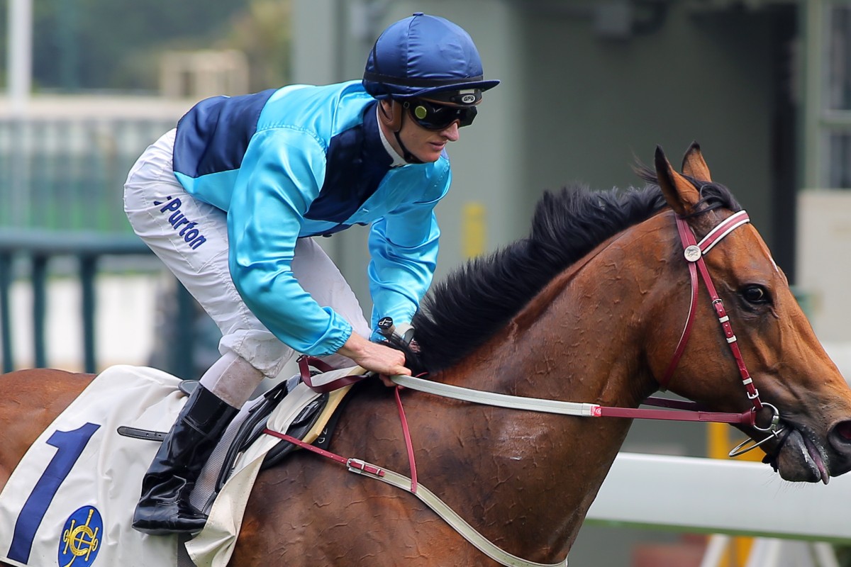 Not Listenin'tome, with Zac Purton aboard, won the Class One sprint at Sha Tin on Sunday. He now heads to Dubai. Photos: Kenneth Chan