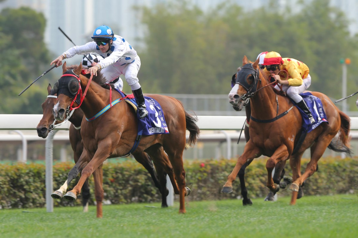 Brett Prebble drives Contentment to win the Queen's Silver Jubilee Cup last start, the horse's first Group One success. He can take the Chairman's Trophy today. Photo: Kenneth Chan