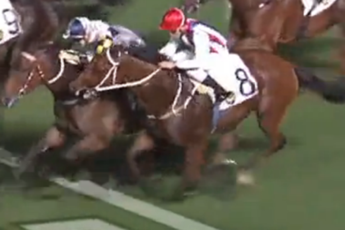 Anticipation (red cap) bites Victory Magic at his last start when finishing third. He can break through in Saturday’s Triple Trio. Photo: HKJC