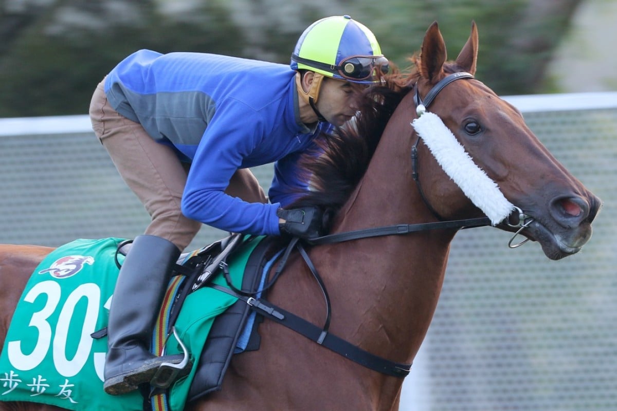 Able Friend “burns Joao Moreira’s backside” in his work at Sha Tin this morning. Photos: Kenneth Chan