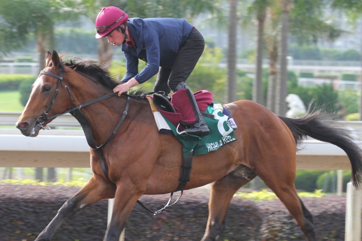 Highland Reel carries a great weight of hope for Aidan O’Brien in the Hong Kong Vase. Photos: Kenneth Chan