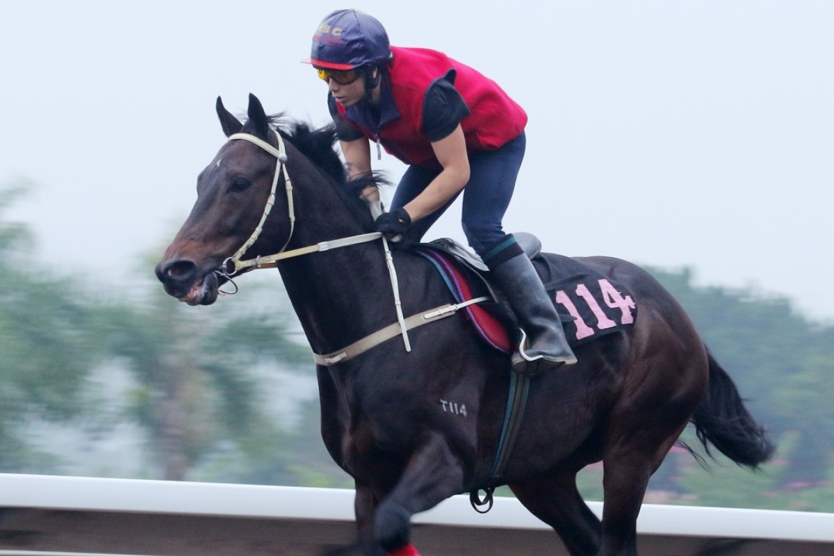 Beaten favourite Doyeni was spotted wearing a bar shoe on his left front foot, apparently for the first time, on Sunday. Photos: Kenneth Chan