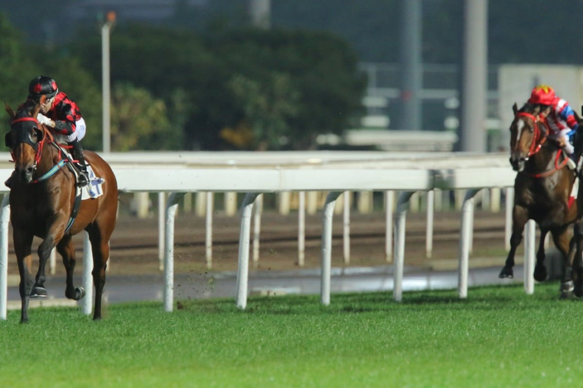 Thewizardofoz (Joao Moreira) is heading for the big time judging by his recent performances.