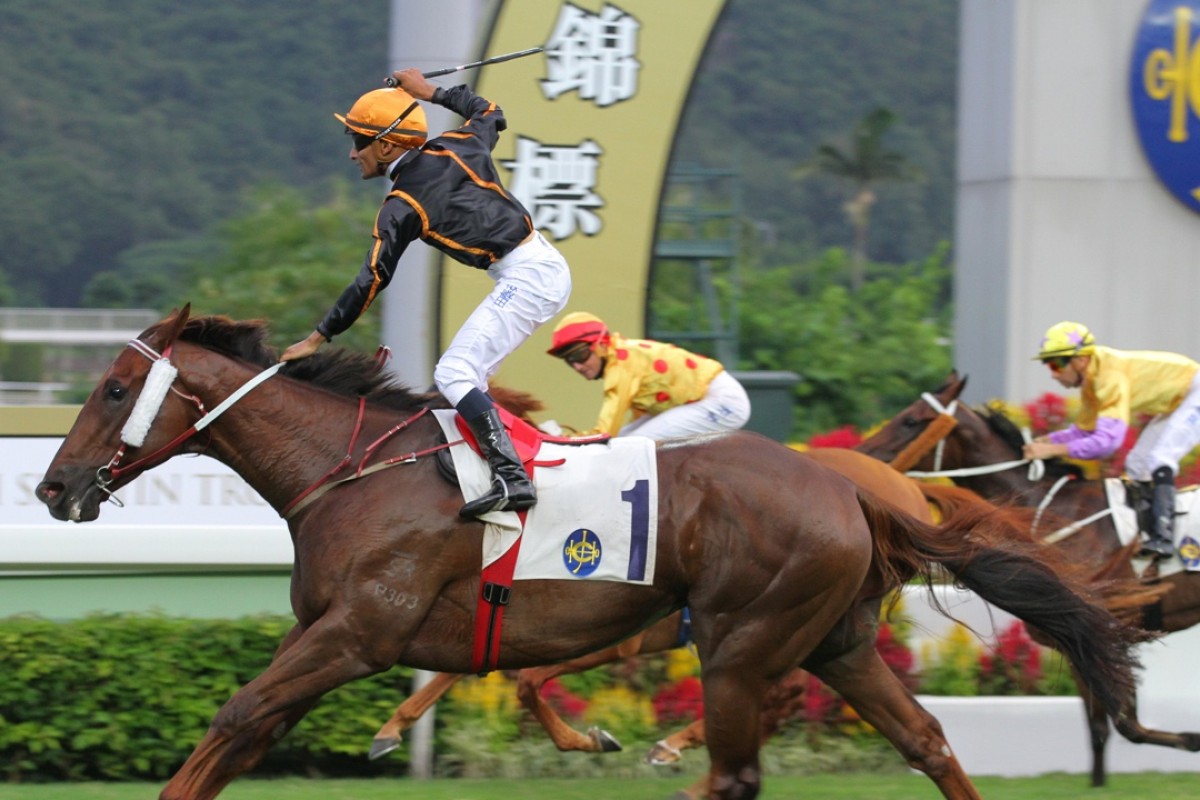 Able Friend was named the world’s top sprinter and the joint champion miler by the Longines World’s Best Racehorse Rankings. Photos: Kenneth Chan