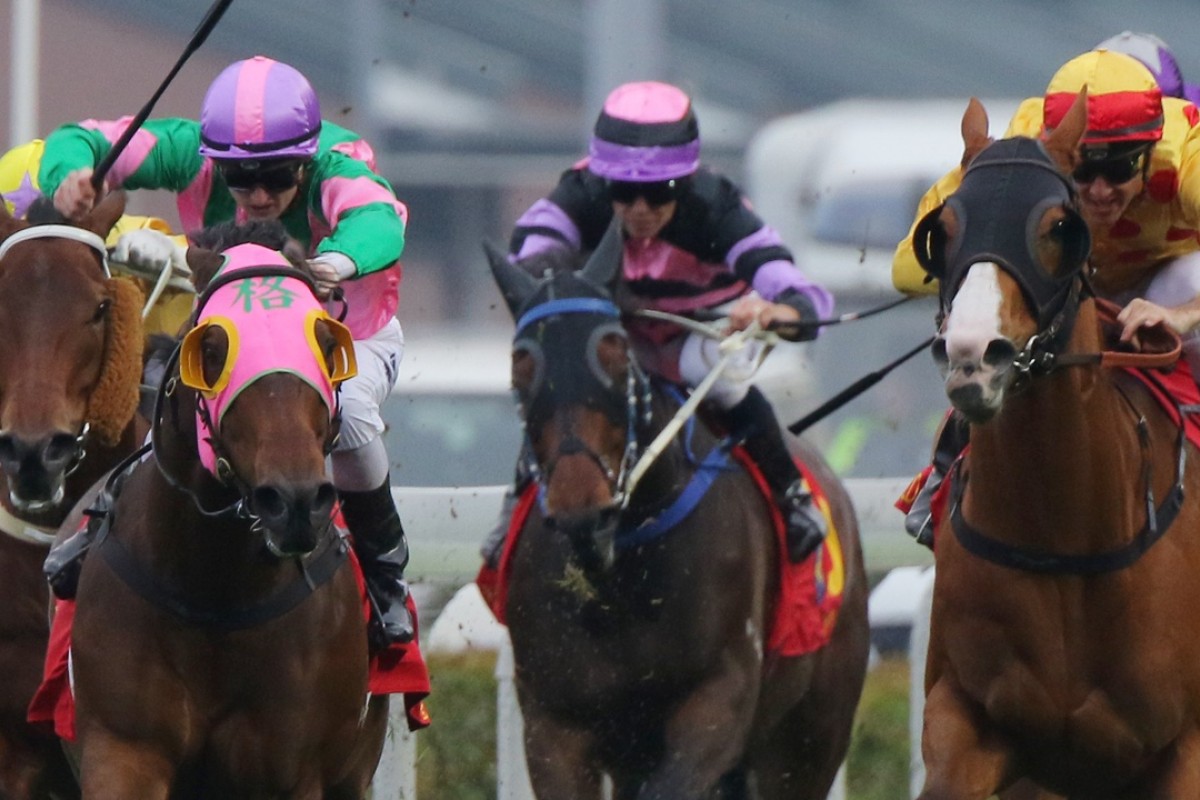 A wayward Aerovelocity veers in on Peniaphobia on his way to winning the Centenary Sprint Cup. Photo: Kenneth Chan
