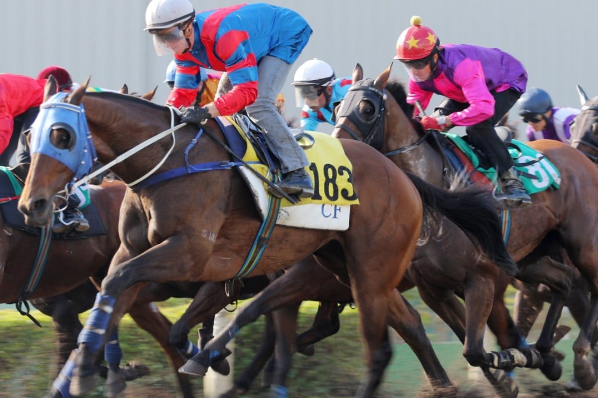 Trainer Caspar Fownes says Gun Pit’s preparation for Saturday’s Al Maktoum Challenge Round Three is going well. Photos: Kenneth Chan