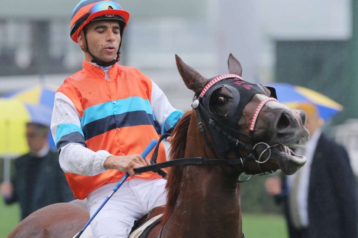Joao Moreira scored a treble at Sha Tin, but it was Hammer King who was the most impressive of his victors. Photo: Kenneth Chan