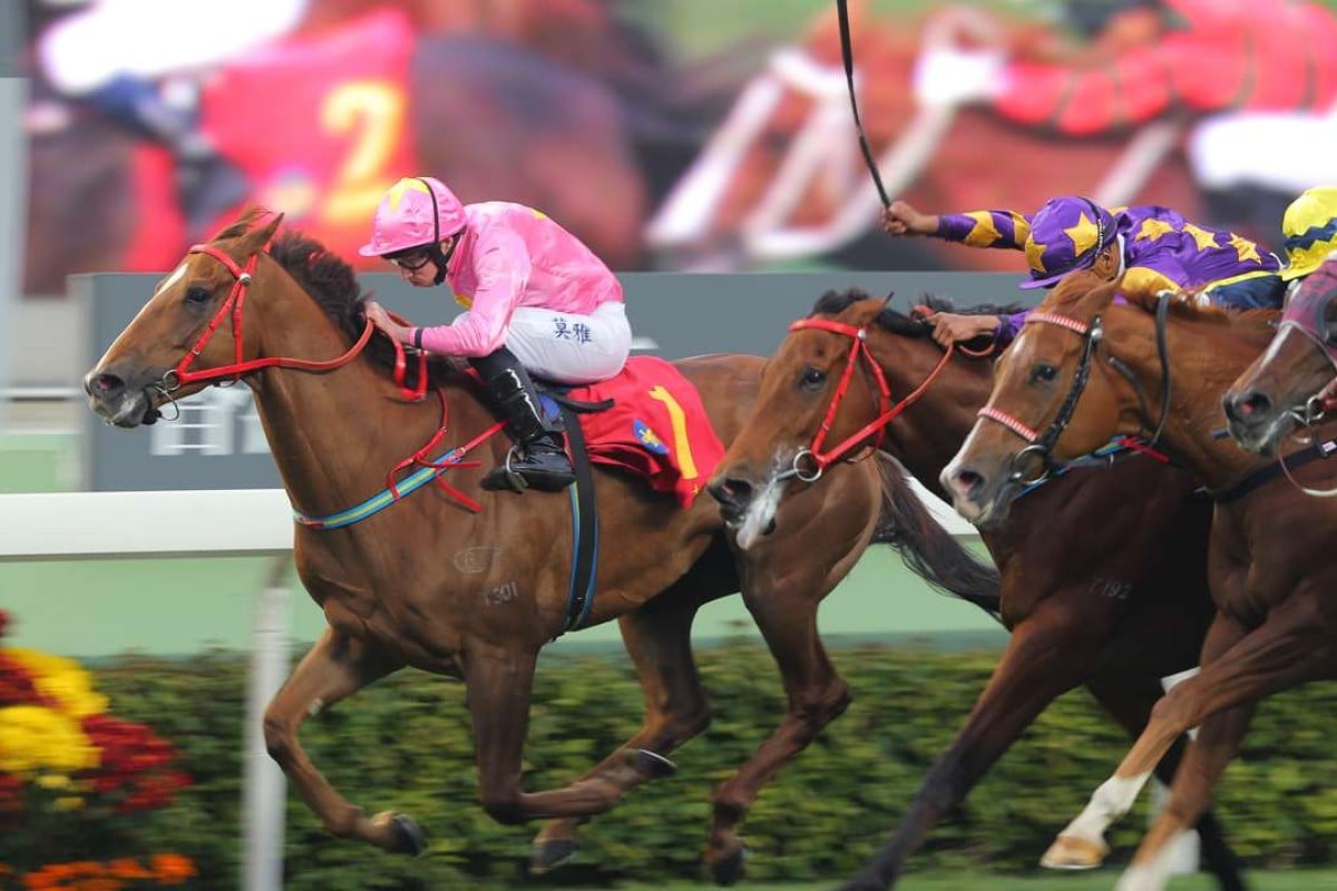 Prominent owner Tung Moon-fai looking for the crowning of his Jewel as ...