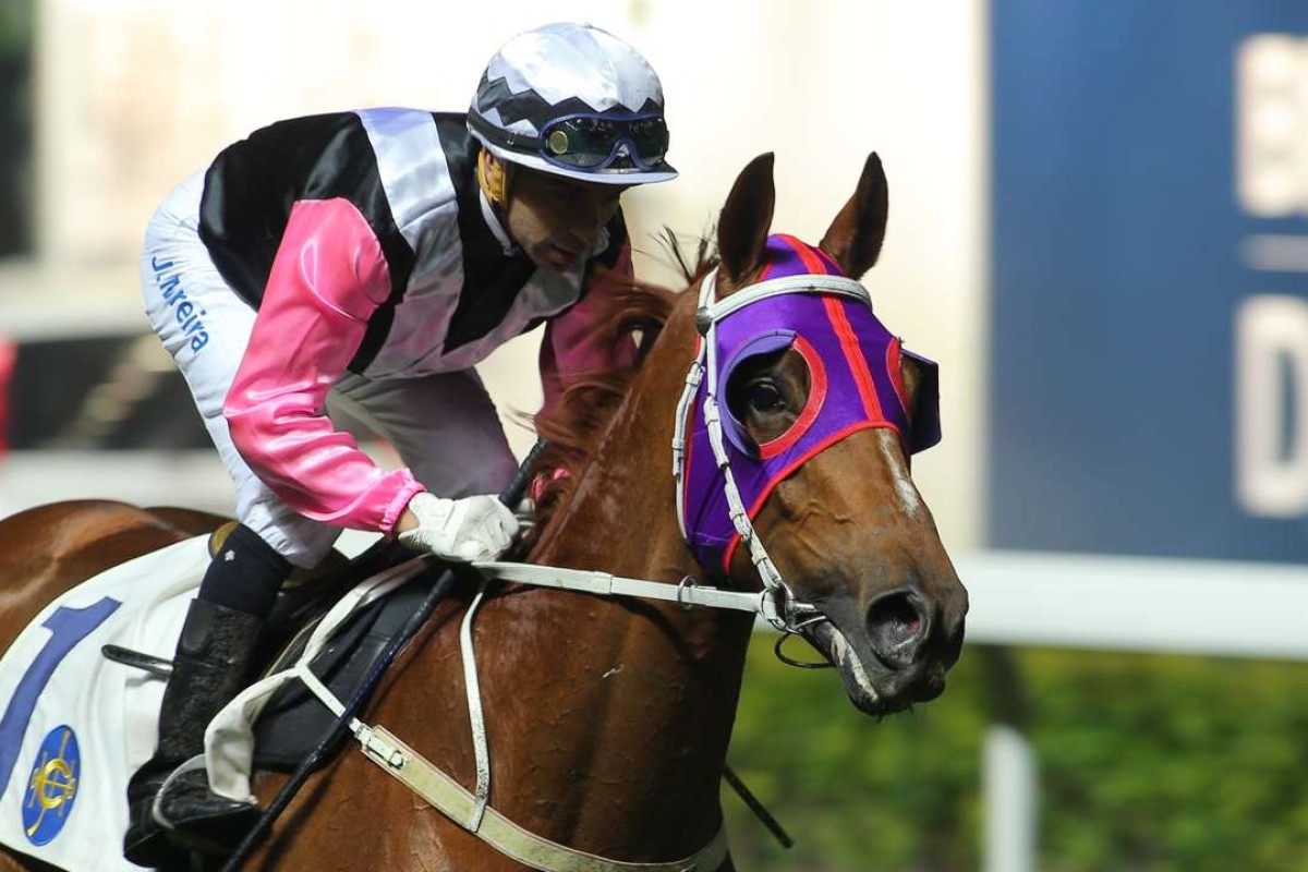 Magical Beauty was incredibly impressive in winning at Happy Valley on Wednesday night. Photo: Kenneth Chan