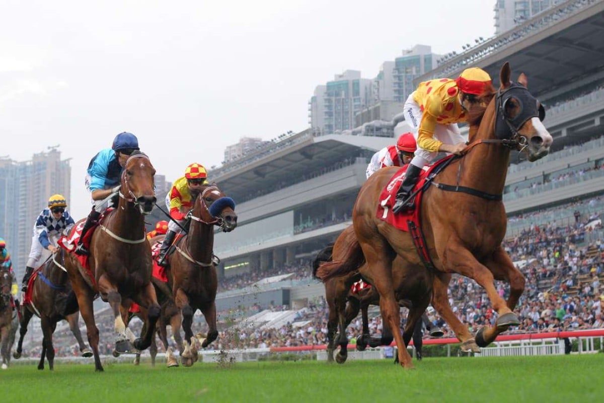 Gold-Fun is being kept fresh so that he can compete in the Group One Chairman’s Sprint Prize in May. Photos: Kenneth Chan