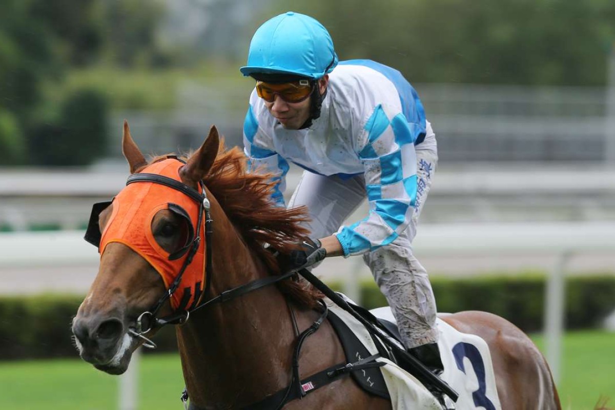 Howard Cheng sits up on Look Eras as he wins the first griffin race of the season. Photo: Kenneth Chan