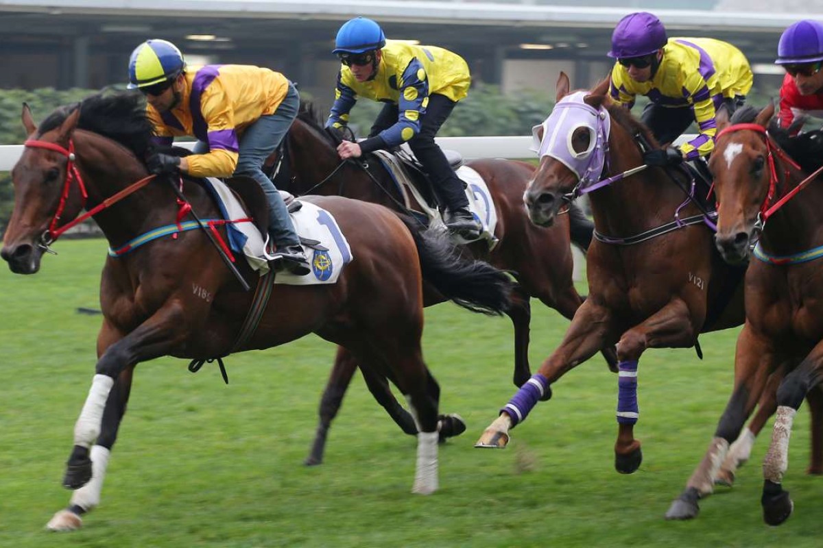 English three-year-old Big Bang Bong can get his Hong Kong career off to a flying start at Happy Valley. Photo: Kenneth Chan