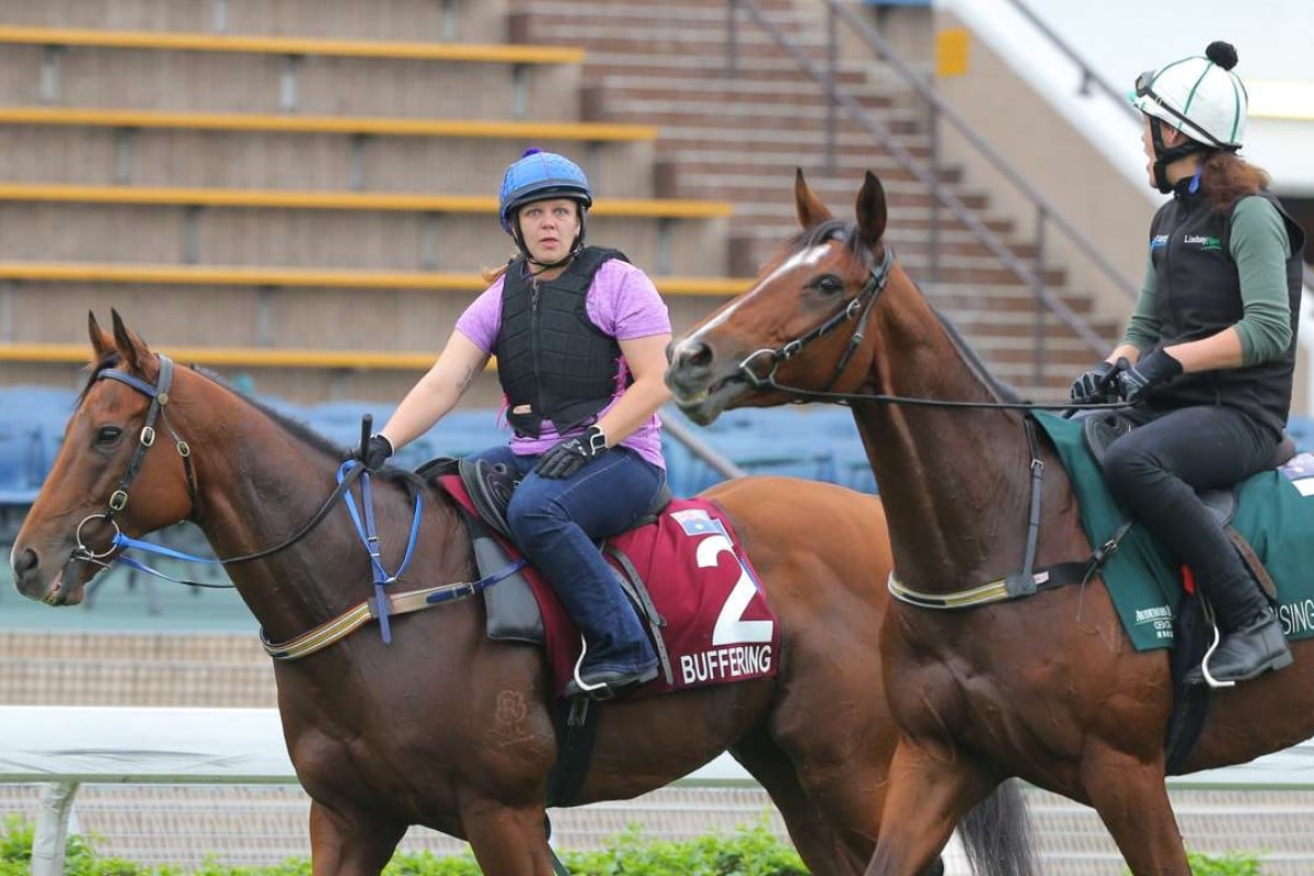 Buffering (far side) and Rising Romance return to the quarantine stables after schooling in the parade ring on Wednesday. Photo: Kenneth Chan