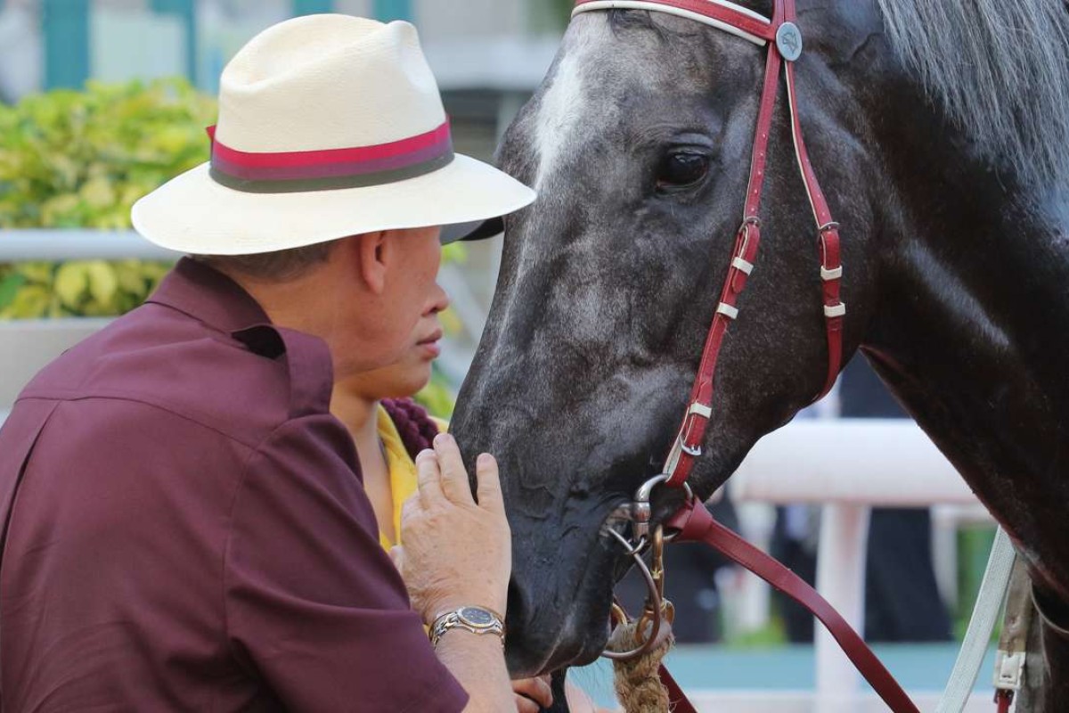 John Moore gives Basic Trilogy a pat after the flashy grey made it a double for the trainer. Photo: Kenneth Chan