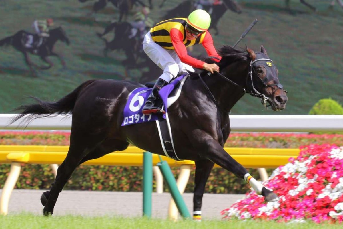 Logotype (Hironobu Tanabe) races away to record an easy win from Maurice and Fiero. Photo: Kenneth Chan