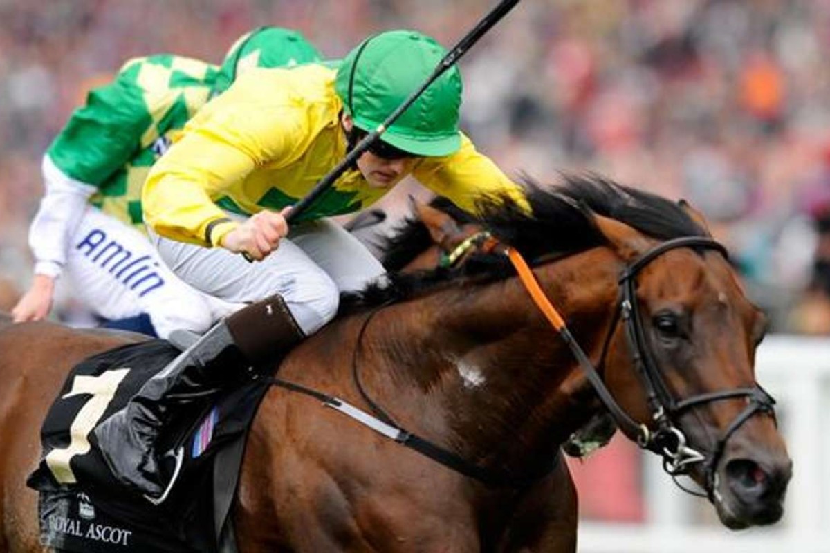 Roca Tumu wins the Britannia Stakes in 2013. He would eventually race in Hong Kong as Beauty Flame, where his biggest win has been the Jockey Club Mile. Photo: Supplied