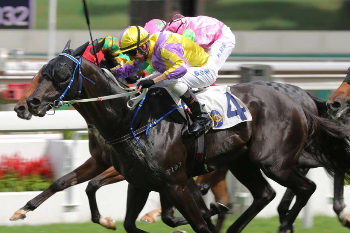 Nash Rawiller gets Renaissance Art over the line to win the feature of the day, the Hong Kong Reunification Cup, at Sha Tin on Friday. Photos: Kenneth Chan