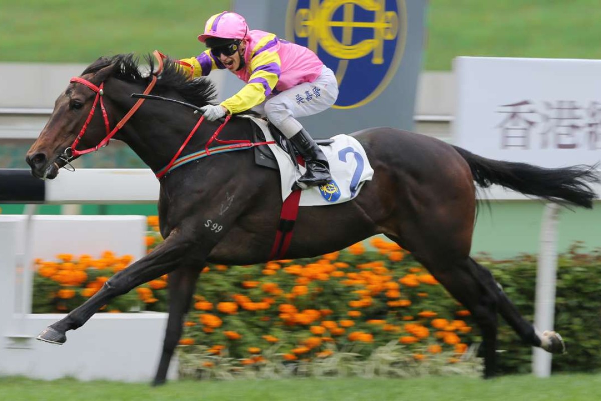 Brilliant Shine (Alvin Ng Ka-chun) shocks a Class Two field at Sha Tin in January at odds of 122-1, one of only two horses this season to win at cricket-score odds. Photos: Kenneth Chan