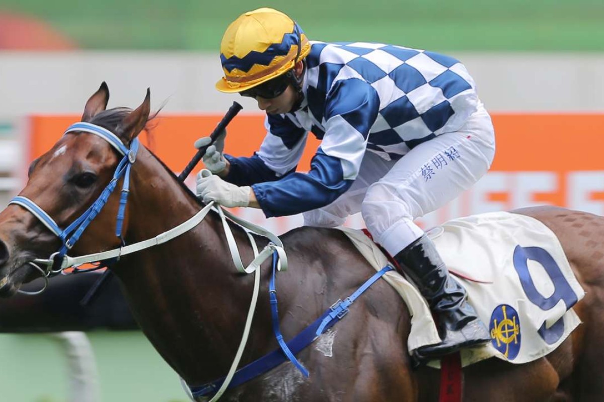 I’m In Charge has not won since the Chief Executive’s Cup last year, but looks well placed to win the Kwangtung Handicap Cup. Photo: Kenneth Chan